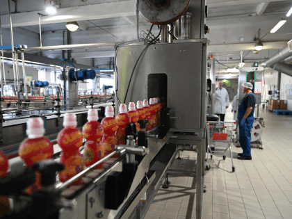 Московская область: Экспорт сельскохозяйственной продукции и достижения компании «МЕГАПАК»