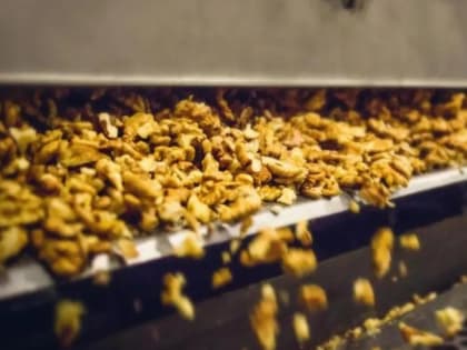 В&nbsp;Подольске реконструируют цех производства орехов и&nbsp;восточных сладостей