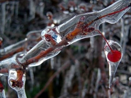 Корка накроет Подмосковье уже ближайшей ночью