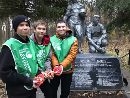 Тюльпаны для памяти: высадка луковиц на братской могиле