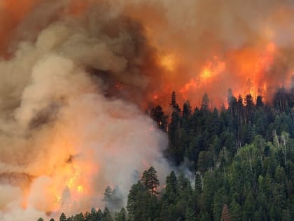 Администрация городского округа Лосино-Петровский напоминает