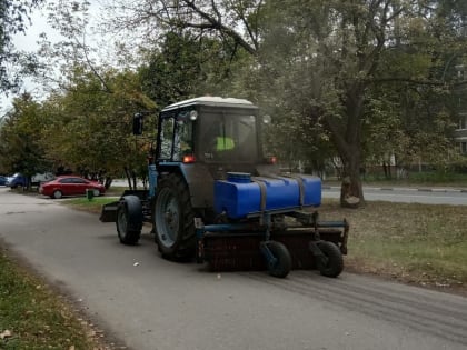 Совет сторонников проинспектировал содержание городских территорий в рамках проекта «Чистая страна»