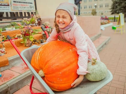Праздник «Урожай 2019» в рамках партийного проекта «Российское село»