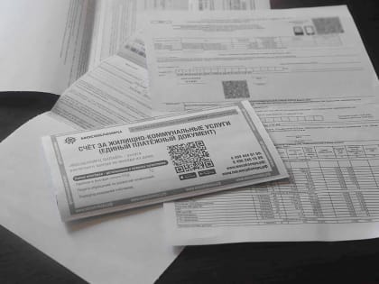 Общественный деятель и эксперт по общественным вопросам: вклад в развитие региона