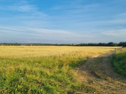 Агропредприятию по производству молока в Луховицком и Воскресенском округах выделили 2 тысячи га земли