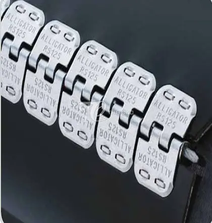 Đinh (nẹp) bản lề RS125.