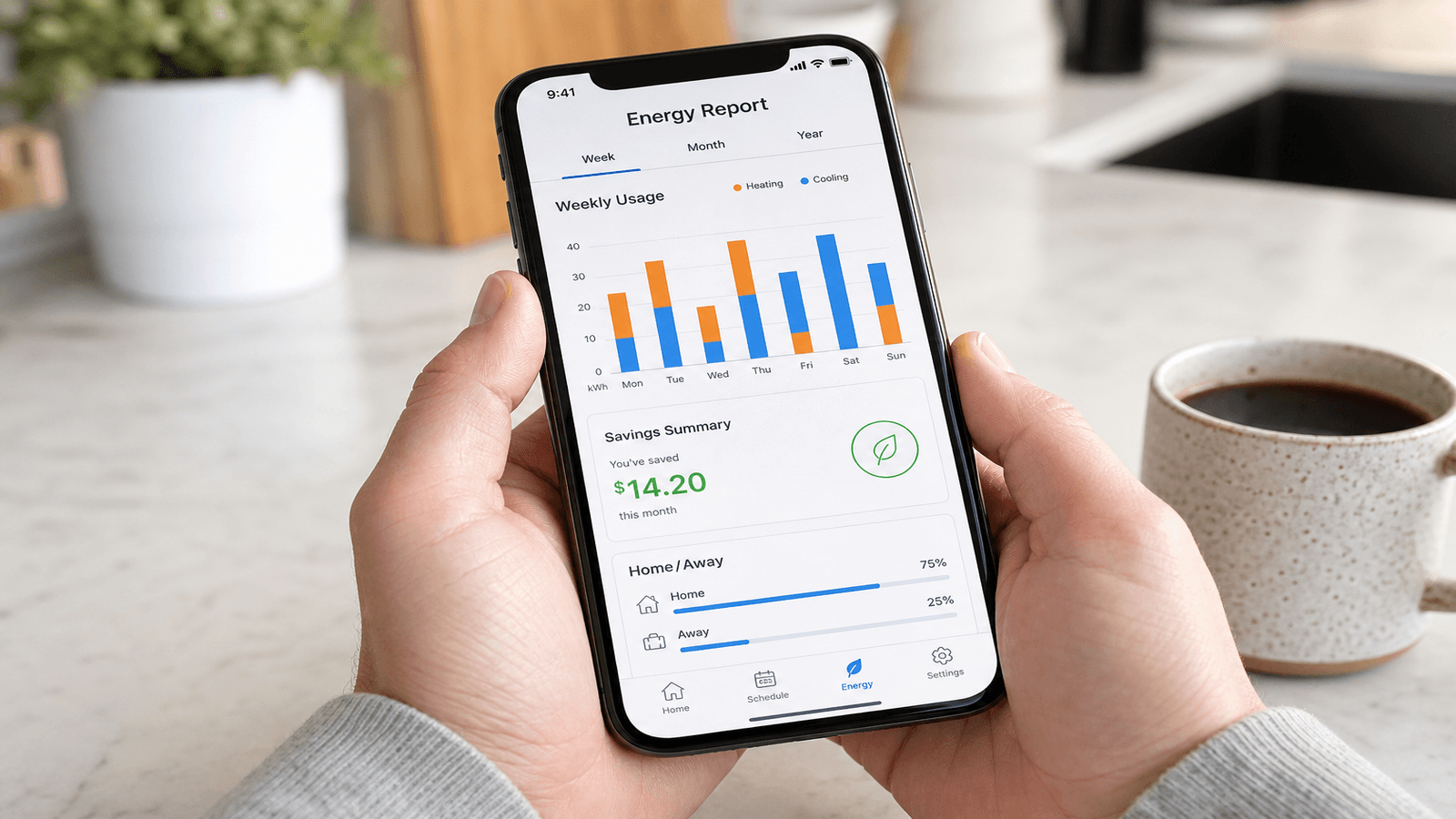 Smart Thermostat Cost