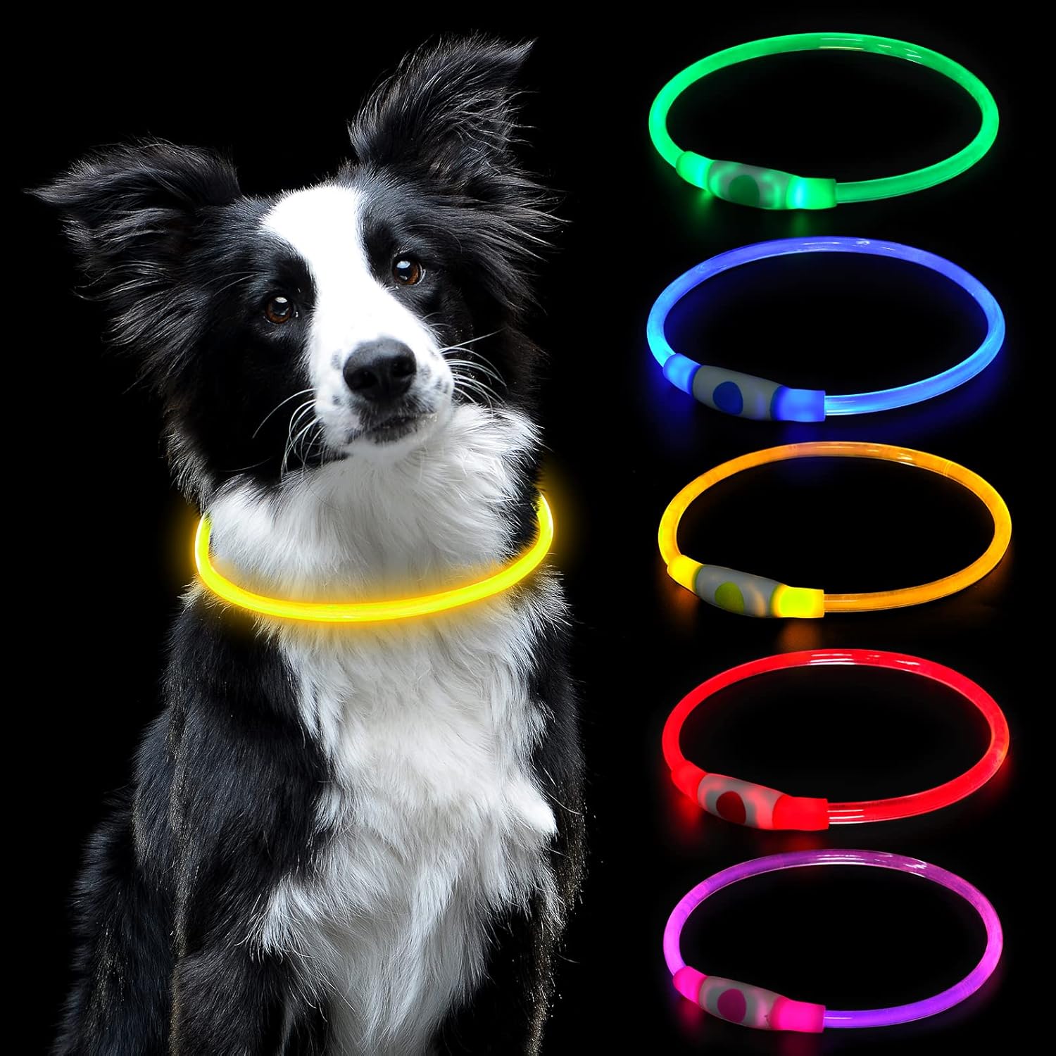 Vue 1 de Auauy Collier Lumineux Chien