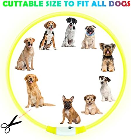 Vue 2 de Auauy Collier Lumineux Chien