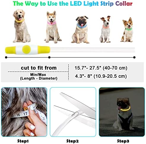 Vue 3 de Auauy Collier Lumineux Chien