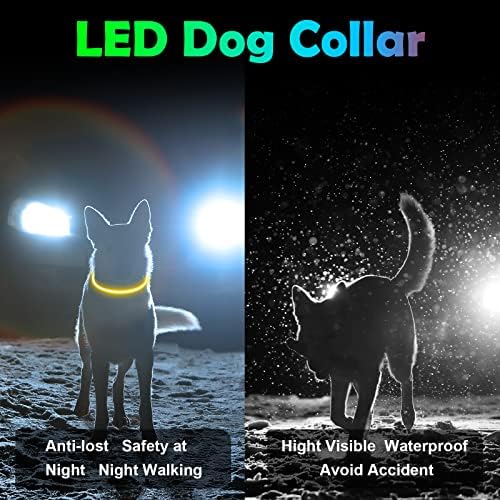 Vue 6 de Auauy Collier Lumineux Chien