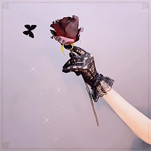 Vue 5 de Gants En Dentelle Courts