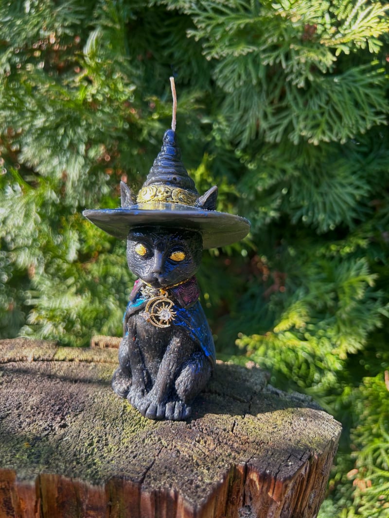 Kot Strażnik Zaklęć