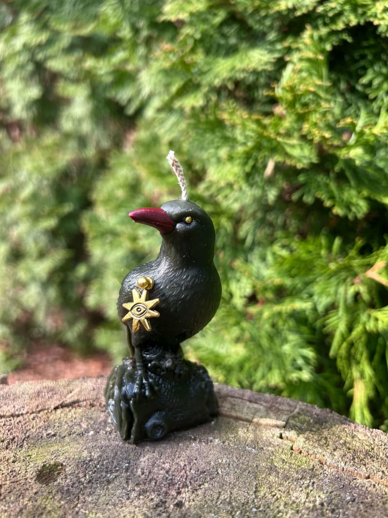 Kruk Czarny Posłaniec