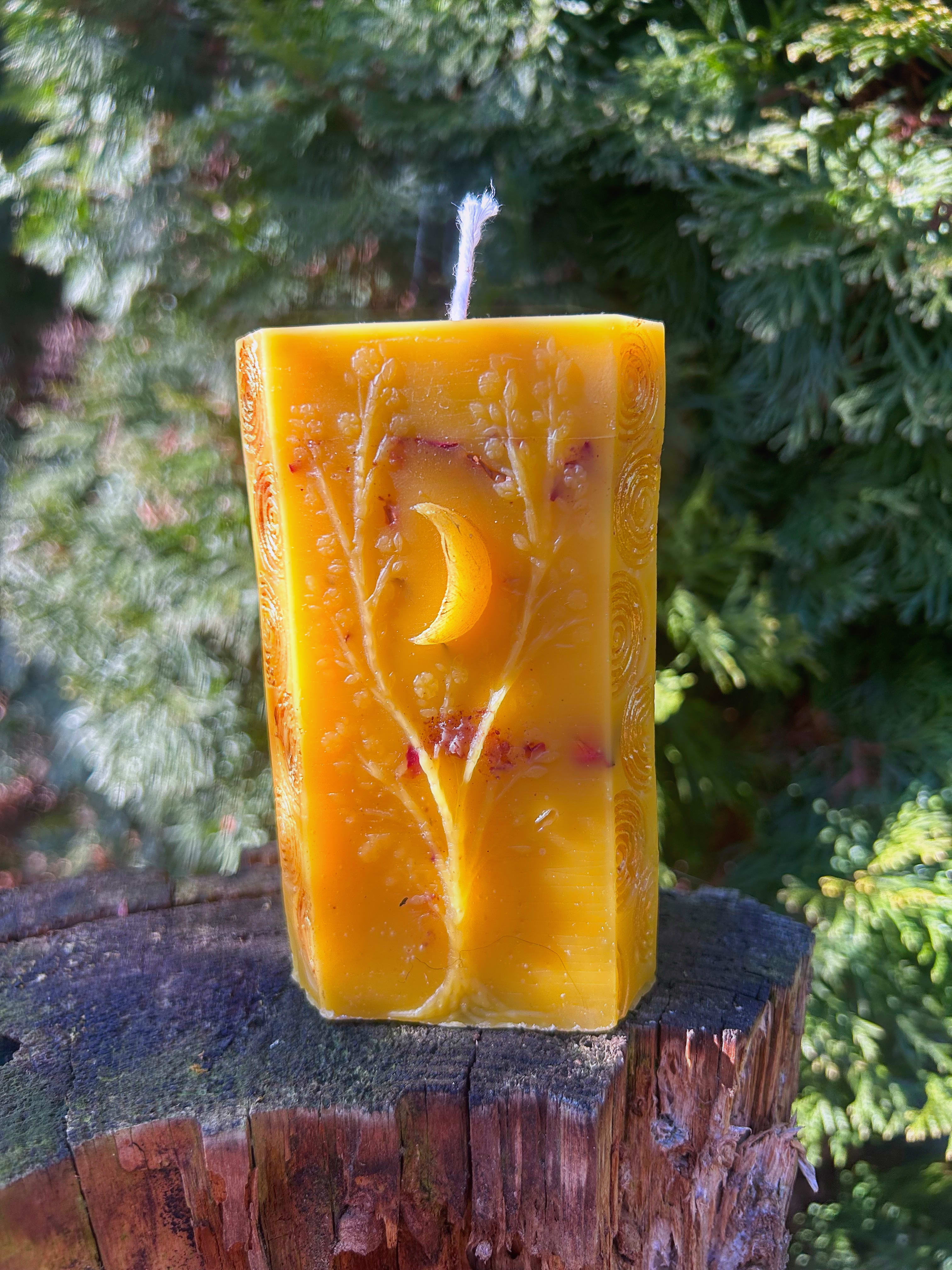 Światło i Odrodzenie