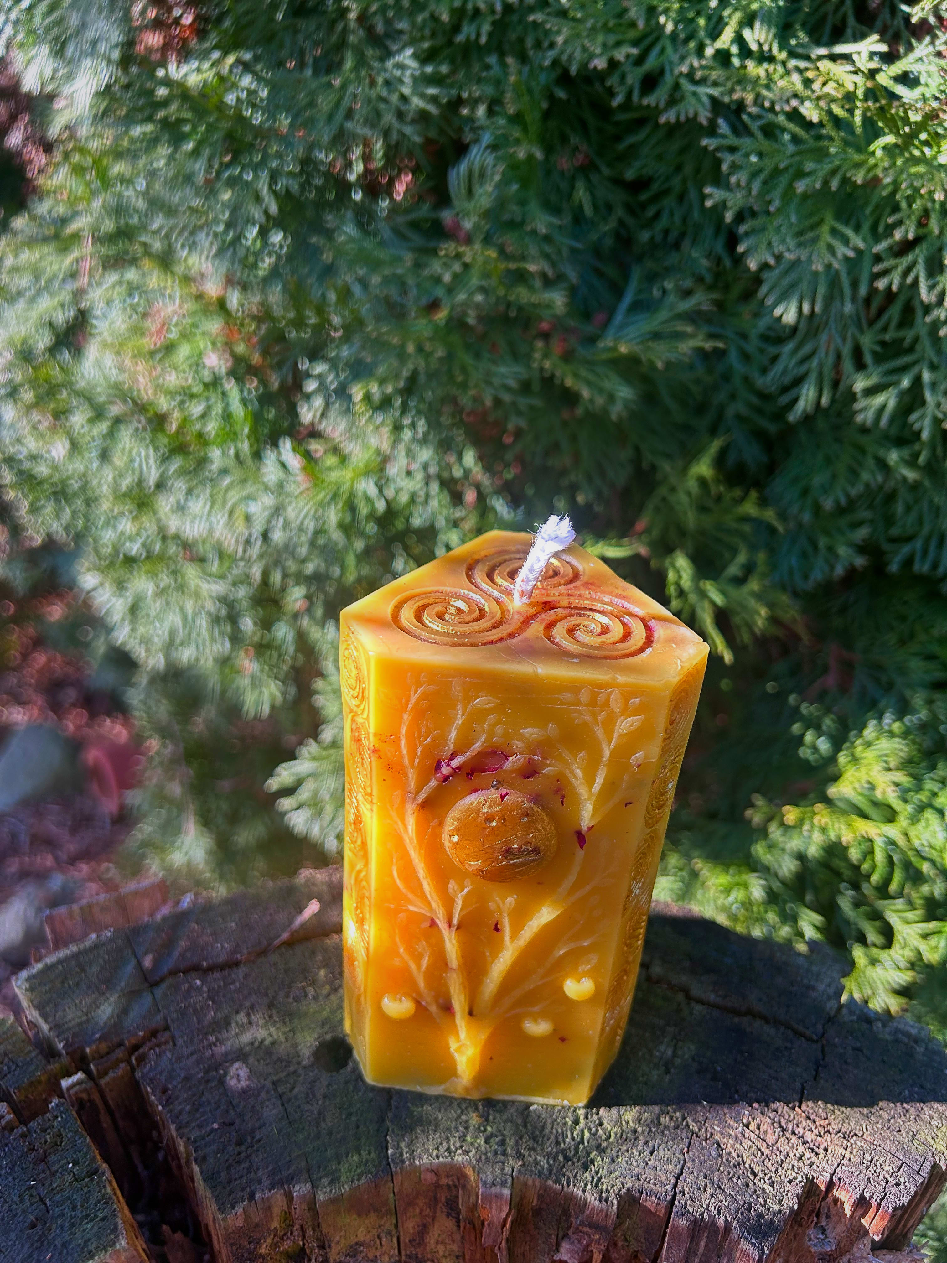 Światło i Odrodzenie