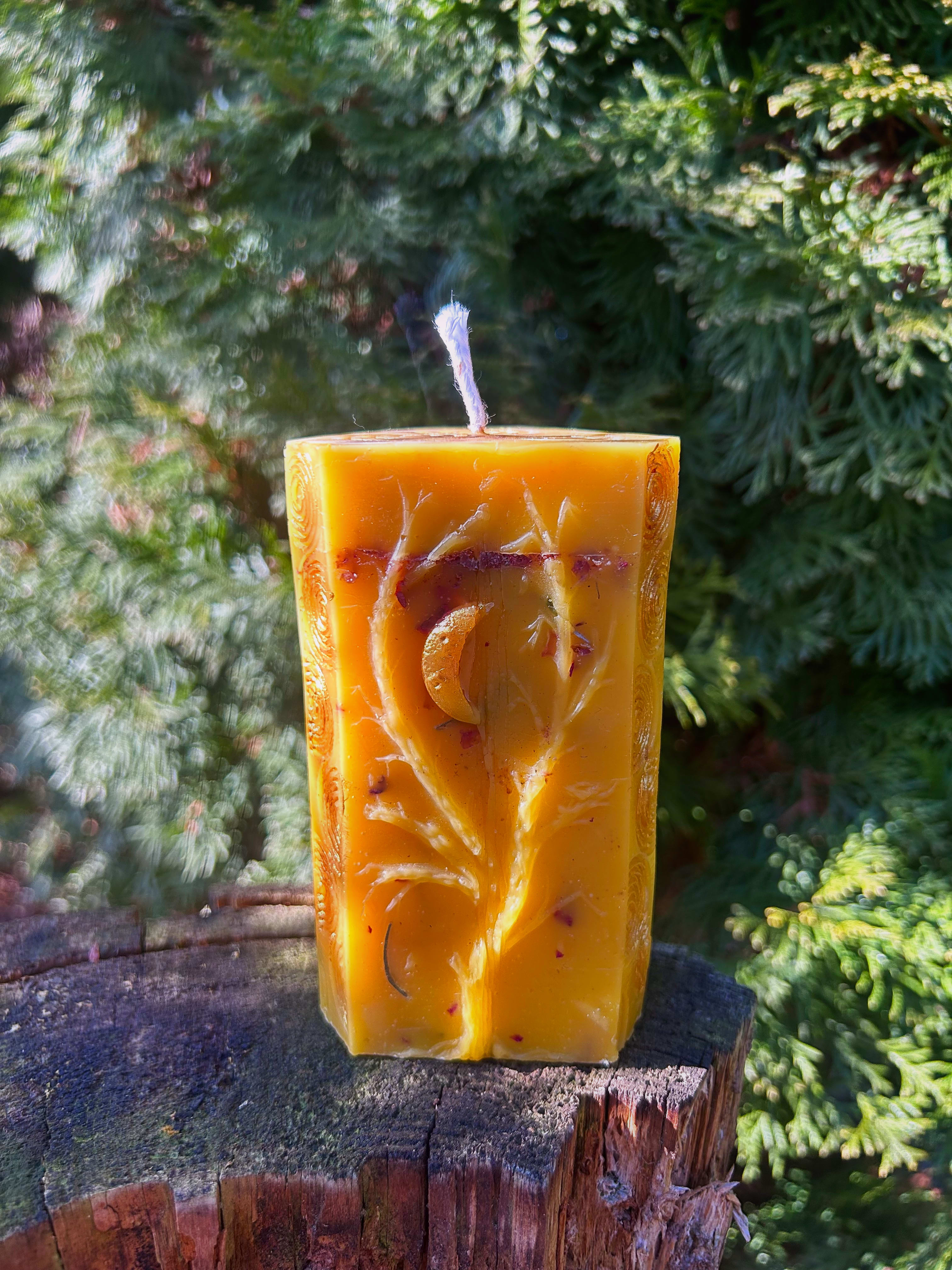 Światło i Odrodzenie