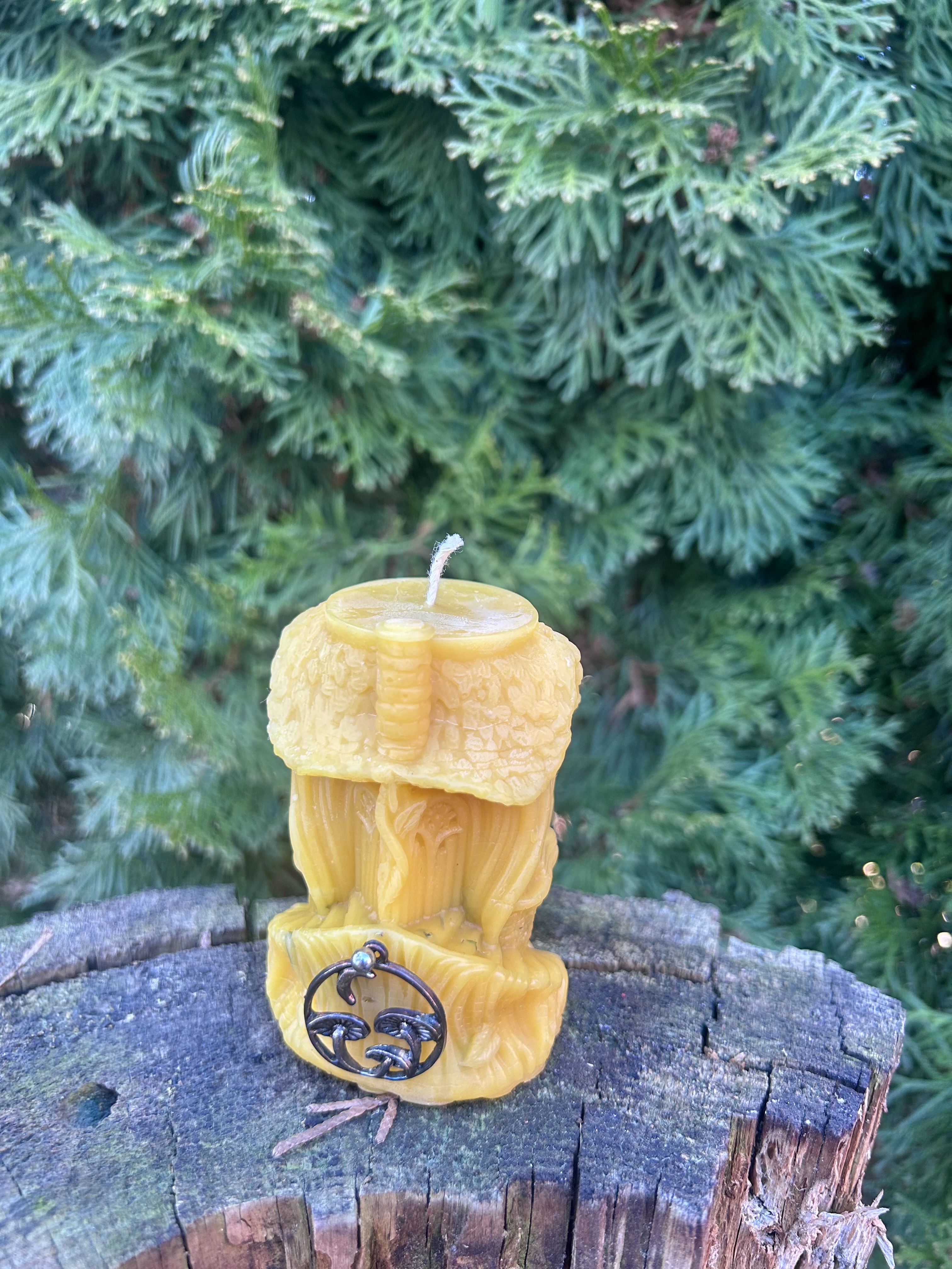 Chatka Strażniczka nr.3