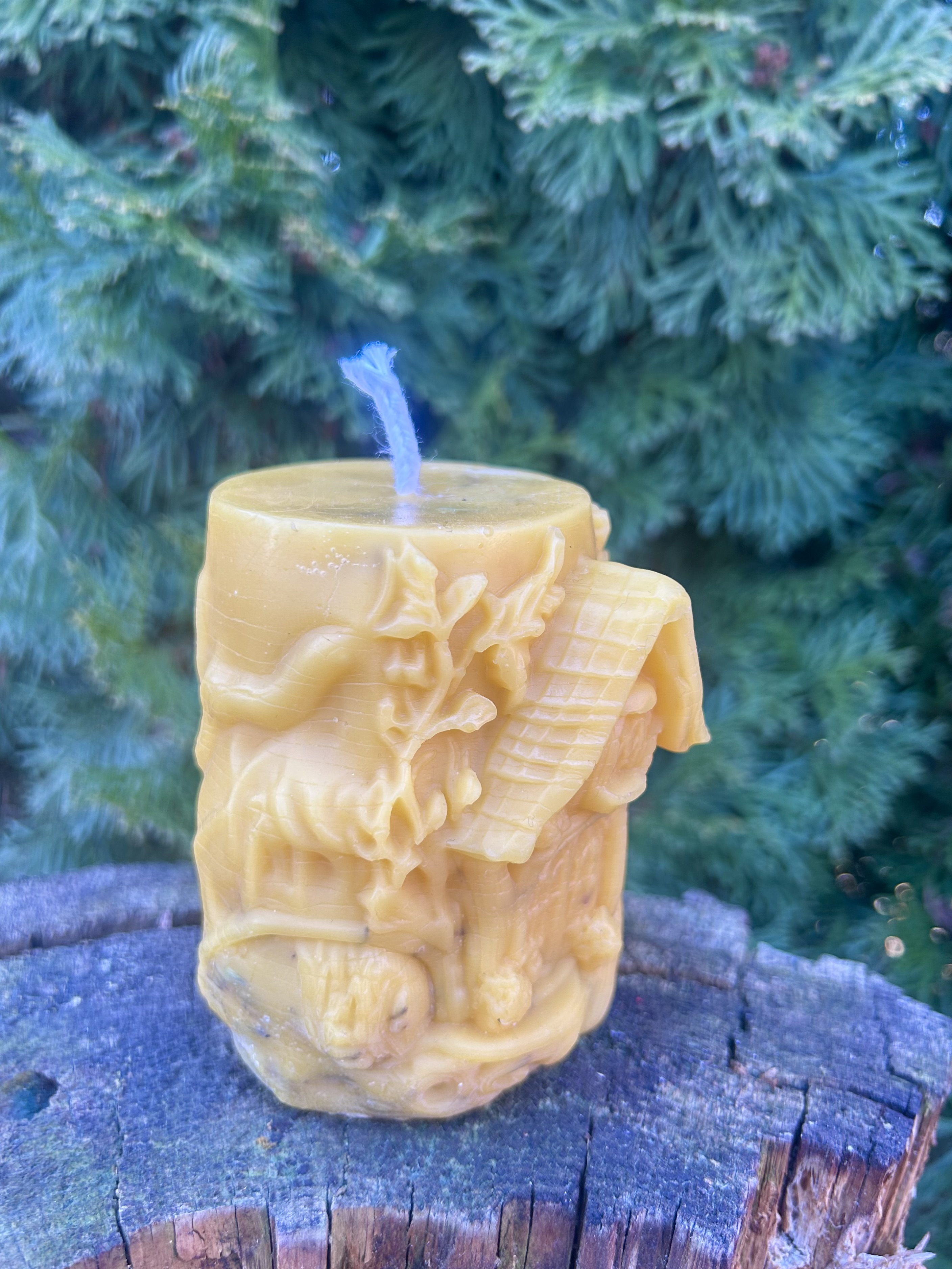 Chatka Strażniczka nr.4