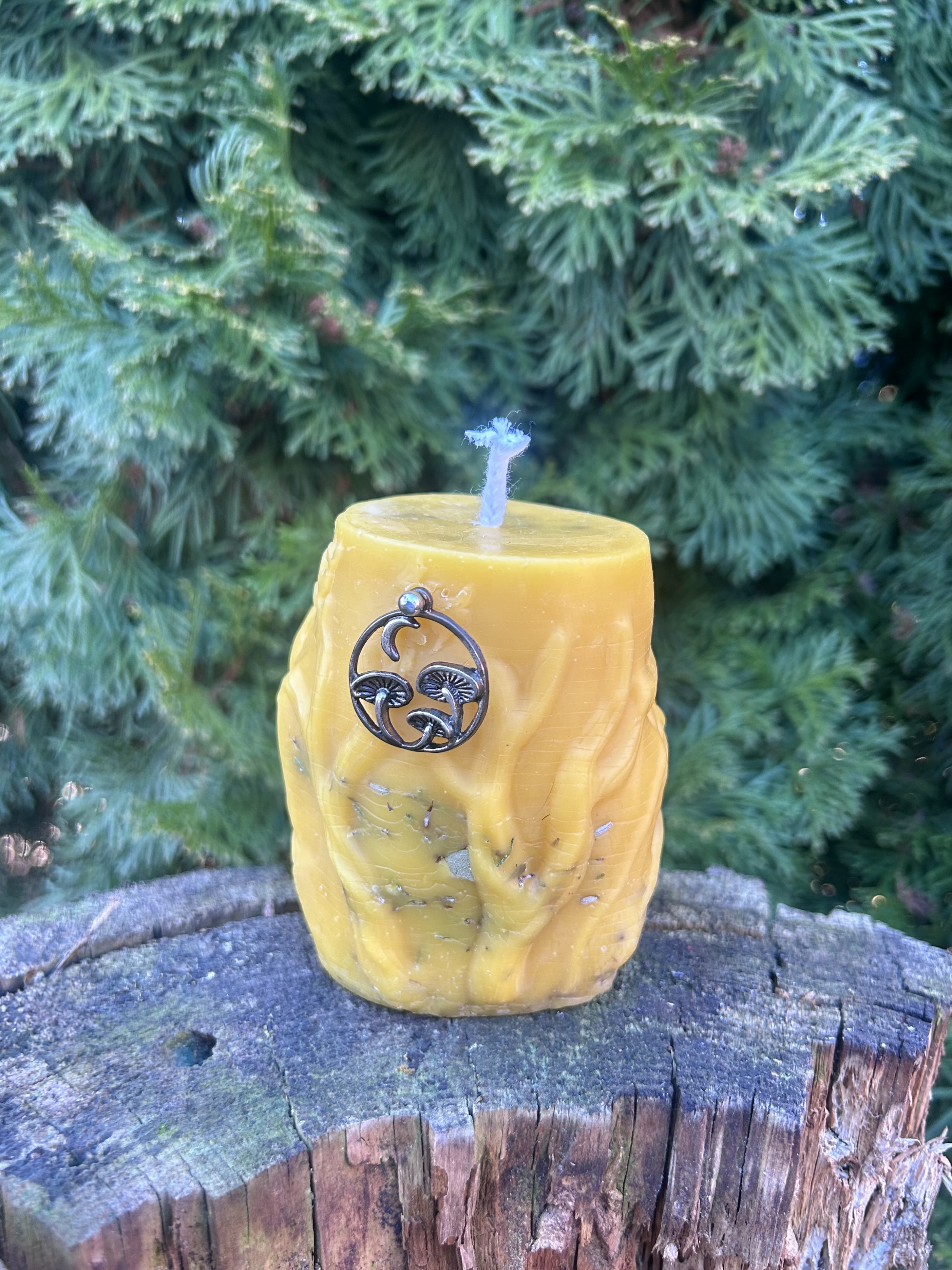 Chatka Strażniczka nr.4