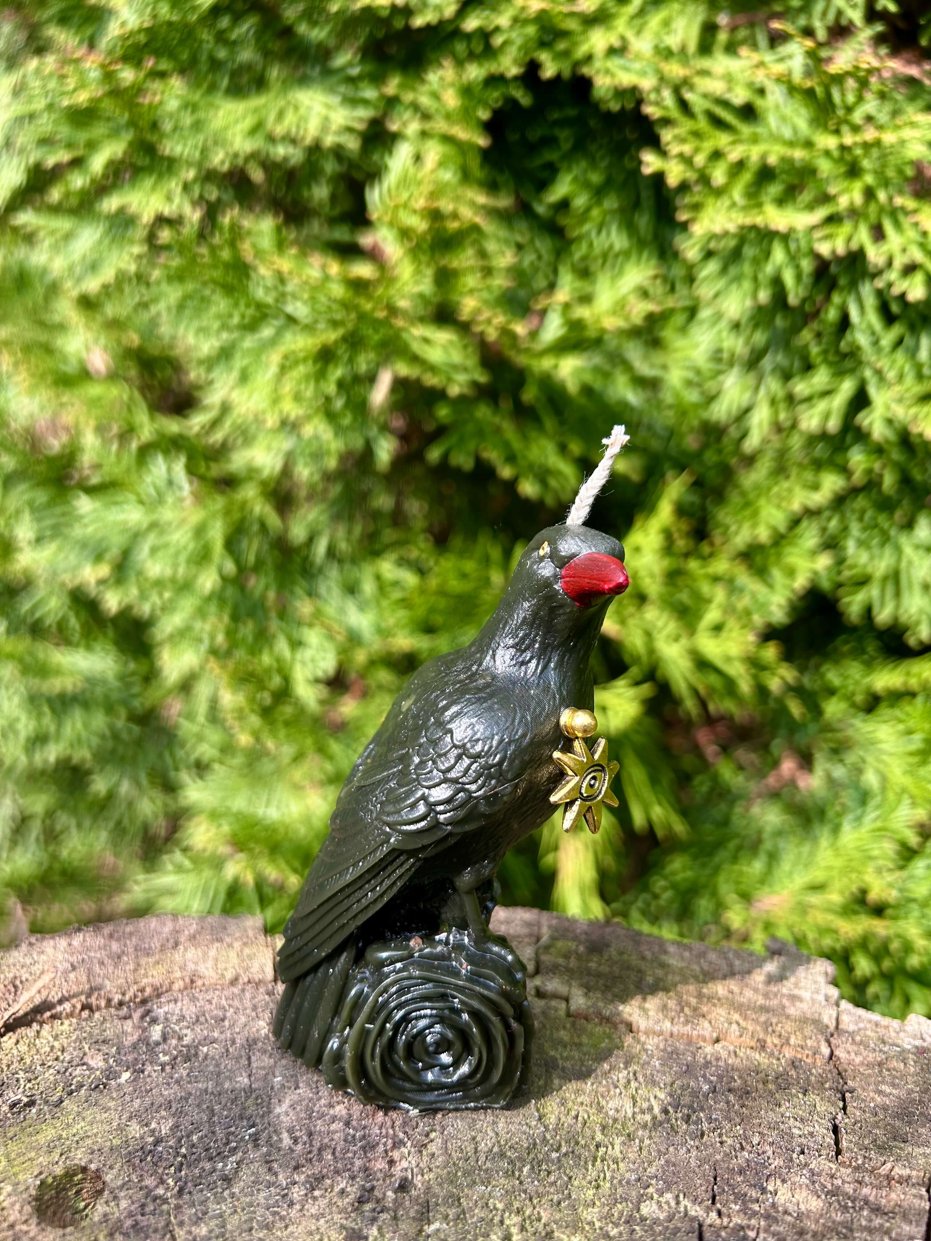 Kruk Czarny Posłaniec