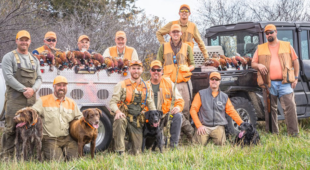 Pheasant Hunting in South Dakota: Preserves vs. Native Wild Pheasant Hunts