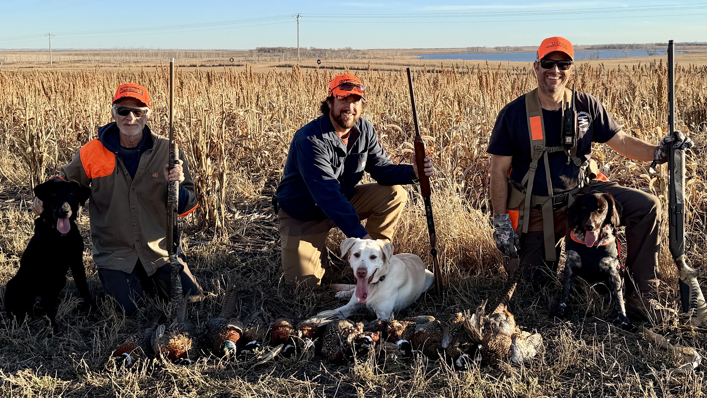 2026 South Dakota Pheasant Hunting SALE!