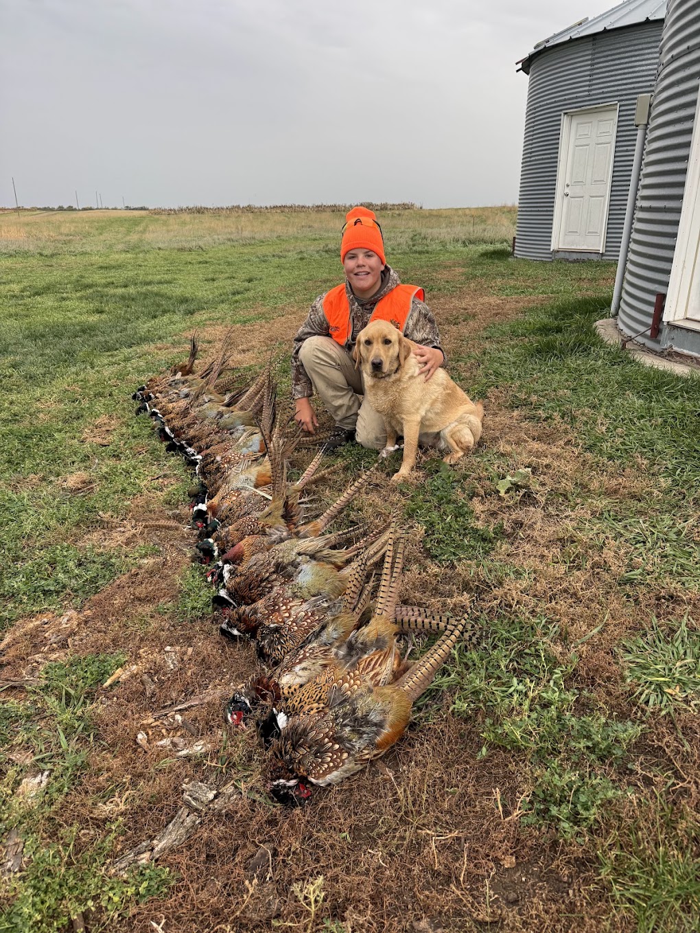 South Dakota Pheasant Hunting Harvest Report - Week 2