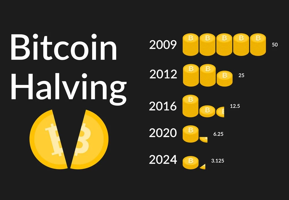bitcoin halving