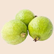 Allahabad Safed Guava Plant