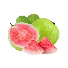 Japan Red Diamond Seedless Guava Plant
