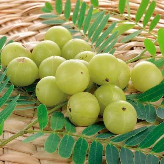 Banaras plants