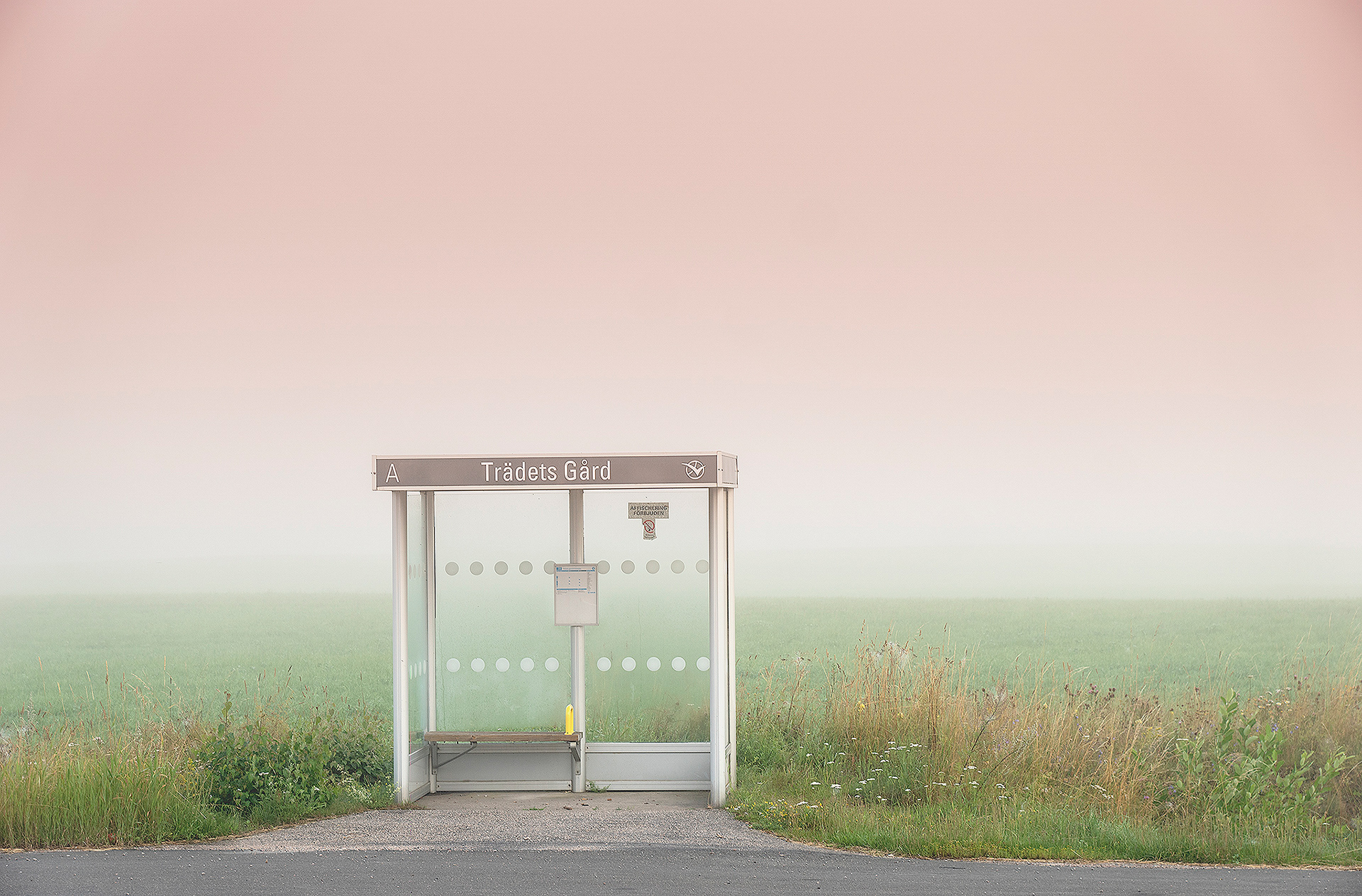 10 Stunning Danish Pastel Wallpapers from Indie Artists