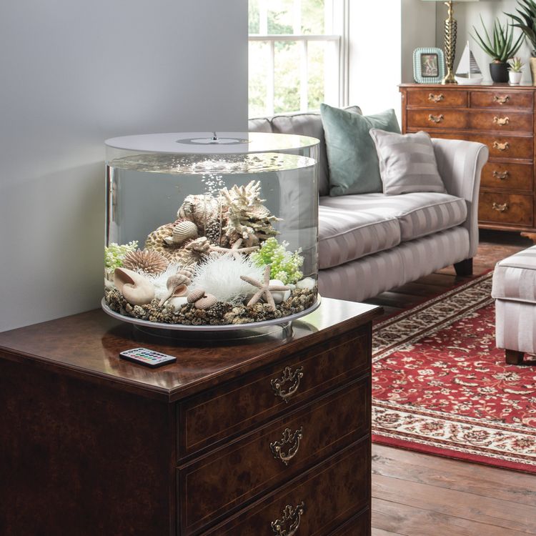 How To Place An Aquarium In Your Living Space