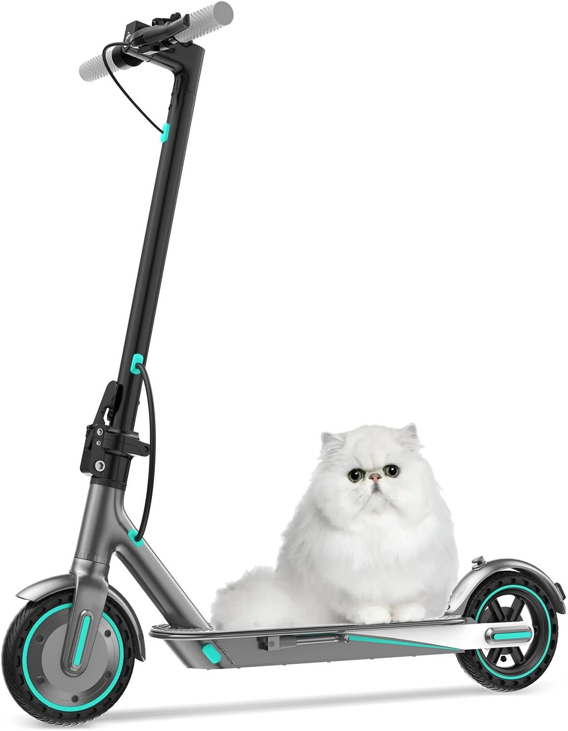 Ww Trotinette Electrique Adulte