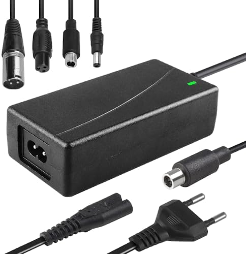 Vue 7 de Chargeur Trotinette Electriqu