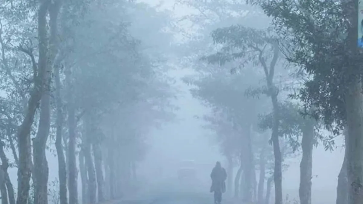 সূর্যের দেখা নেই, এমন ঘন কুয়াশা থাকবে আরও কতদিন?