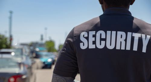 Professional security guards on duty