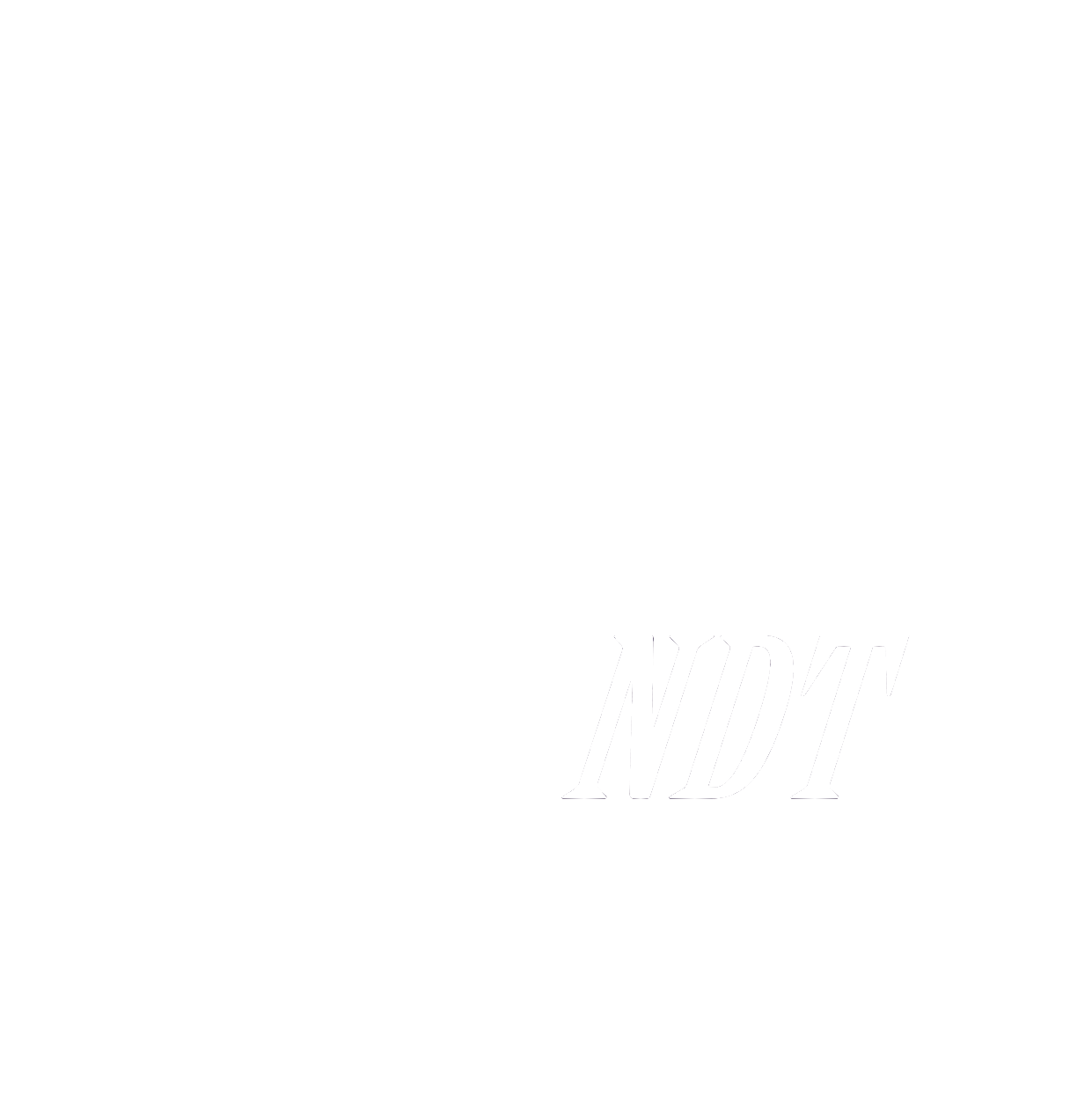 iEagleAI