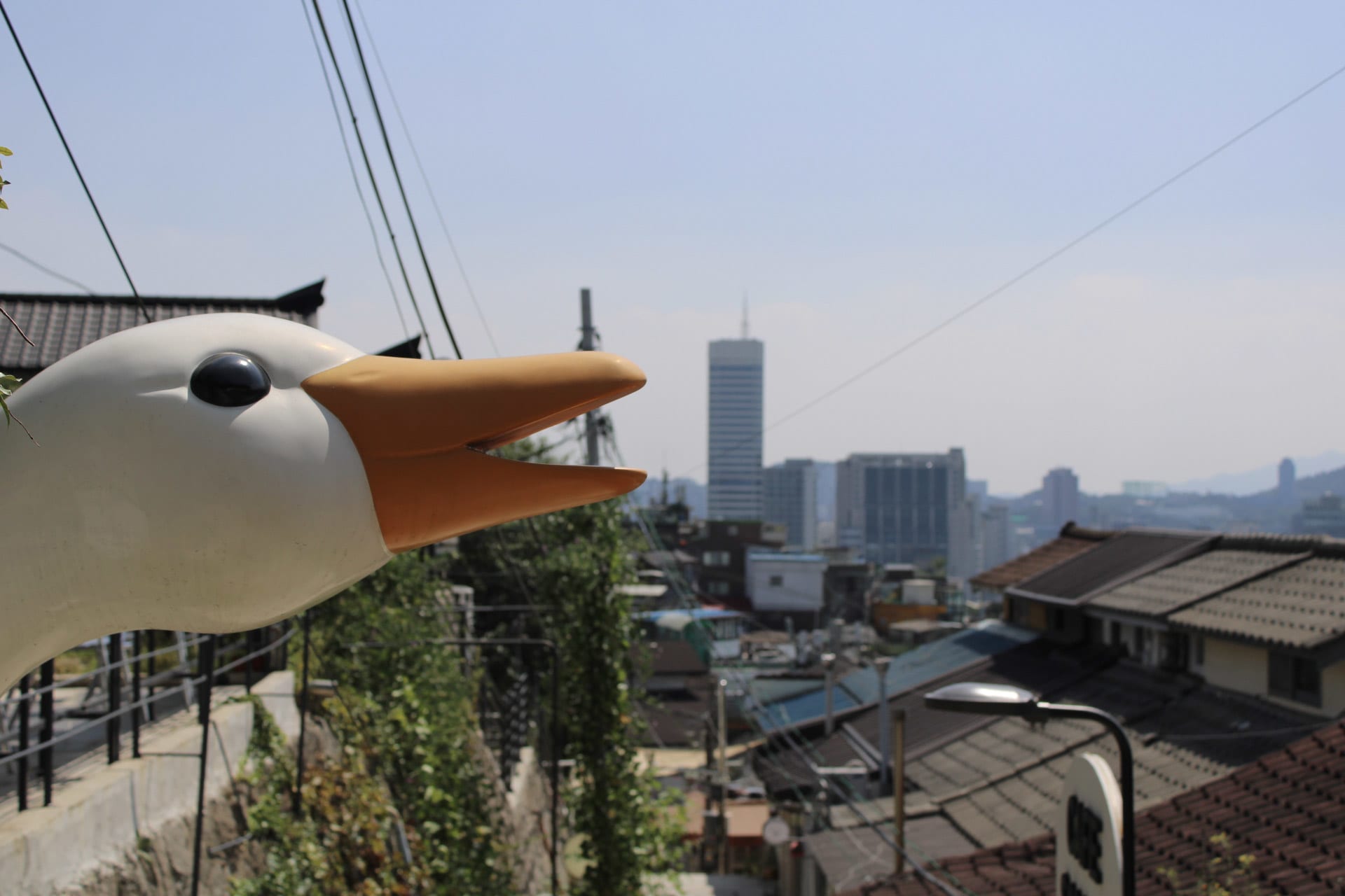 {"caption":[],"type":"external","external":{"url":"https://res.cloudinary.com/dttkrq9dl/image/upload/v1695045238/3-20230909062729_IMG_8918_bktk4o.jpg"}}