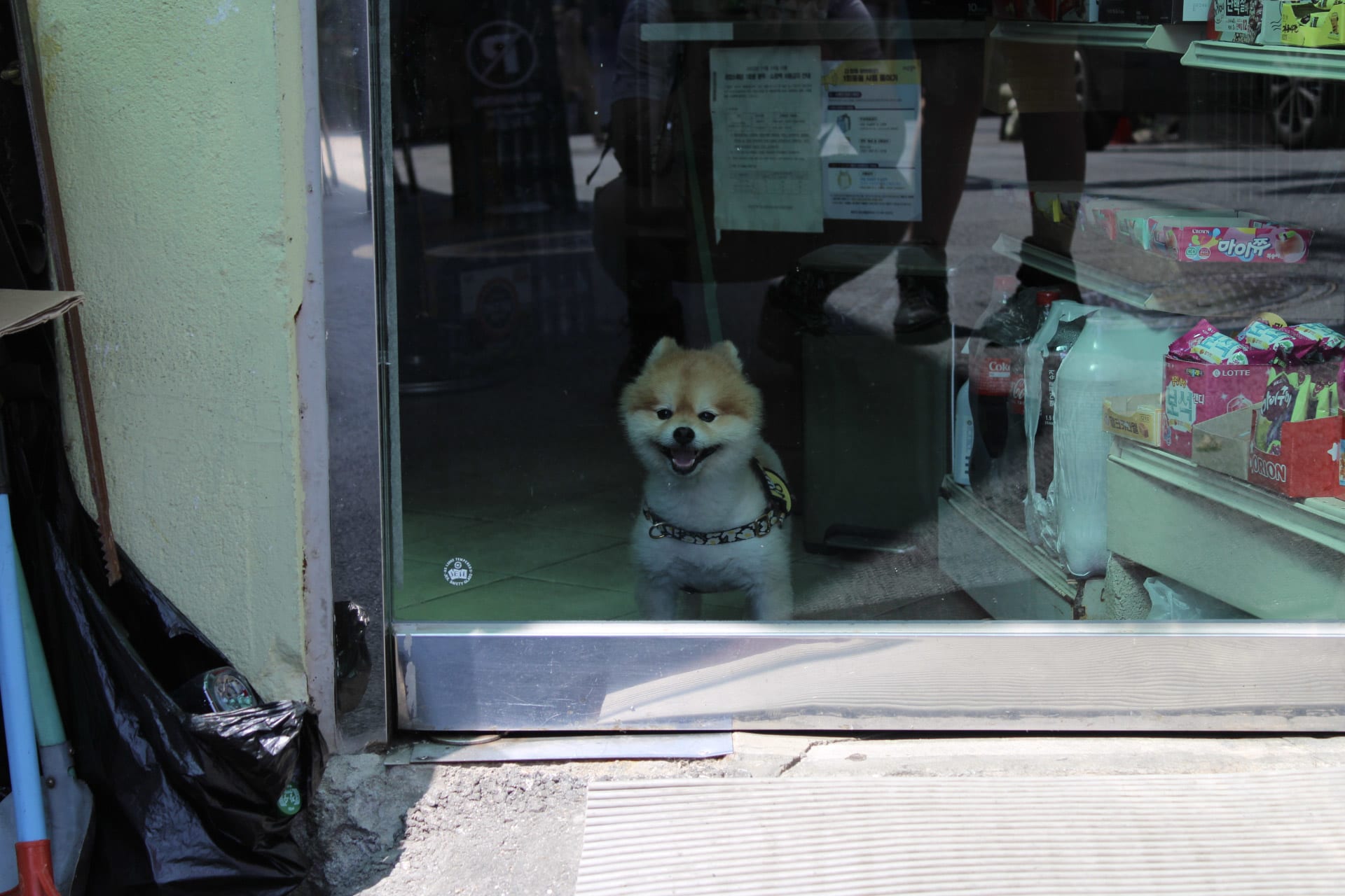 {"caption":[],"type":"external","external":{"url":"https://res.cloudinary.com/dttkrq9dl/image/upload/v1695045241/4-20230909060328_IMG_8890_q2zzei.jpg"}}