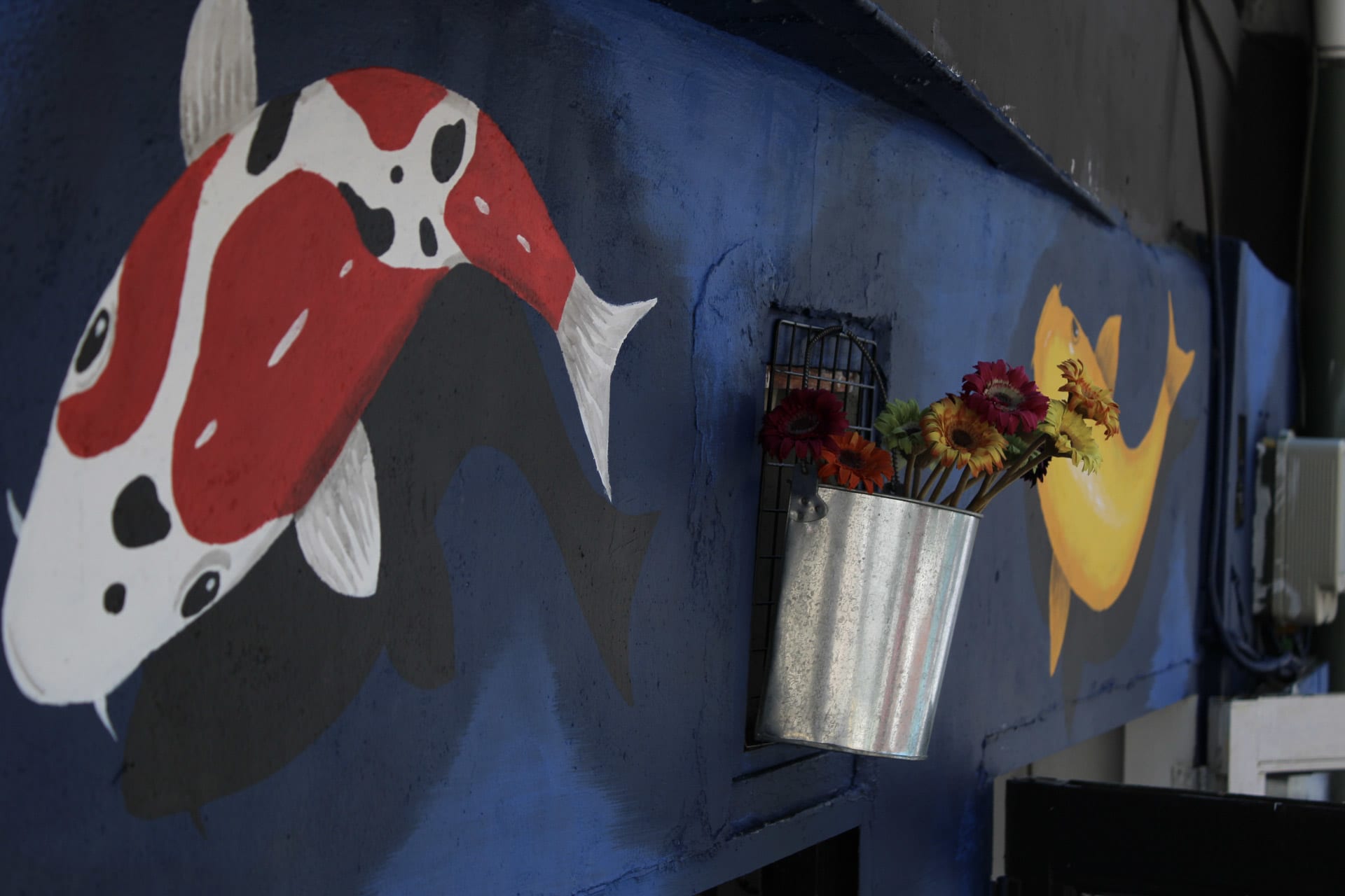 {"caption":[],"type":"external","external":{"url":"https://res.cloudinary.com/dttkrq9dl/image/upload/v1695045243/5-20230909055440_IMG_8886_bceety.jpg"}}