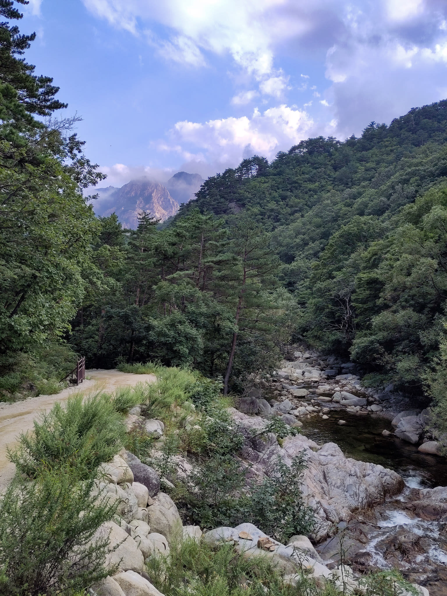 {"caption":[],"type":"external","external":{"url":"https://res.cloudinary.com/dttkrq9dl/image/upload/v1695546605/IMG_20230911_163146_qaxhms.jpg"}}