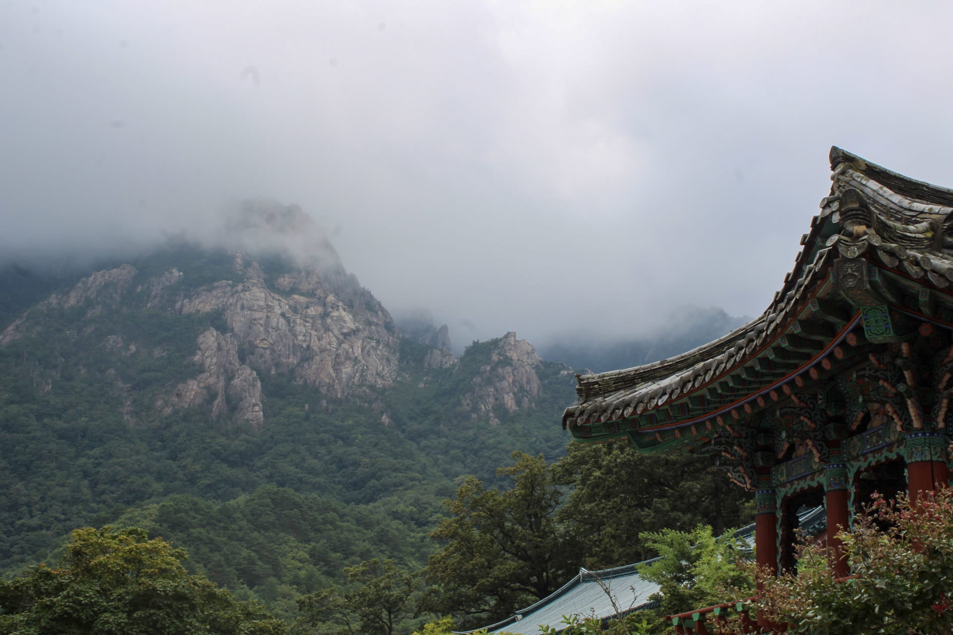 {"caption":[],"type":"external","external":{"url":"https://res.cloudinary.com/dttkrq9dl/image/upload/v1695546606/2-20230911045321_IMG_9133_wi7tpt.jpg"}}