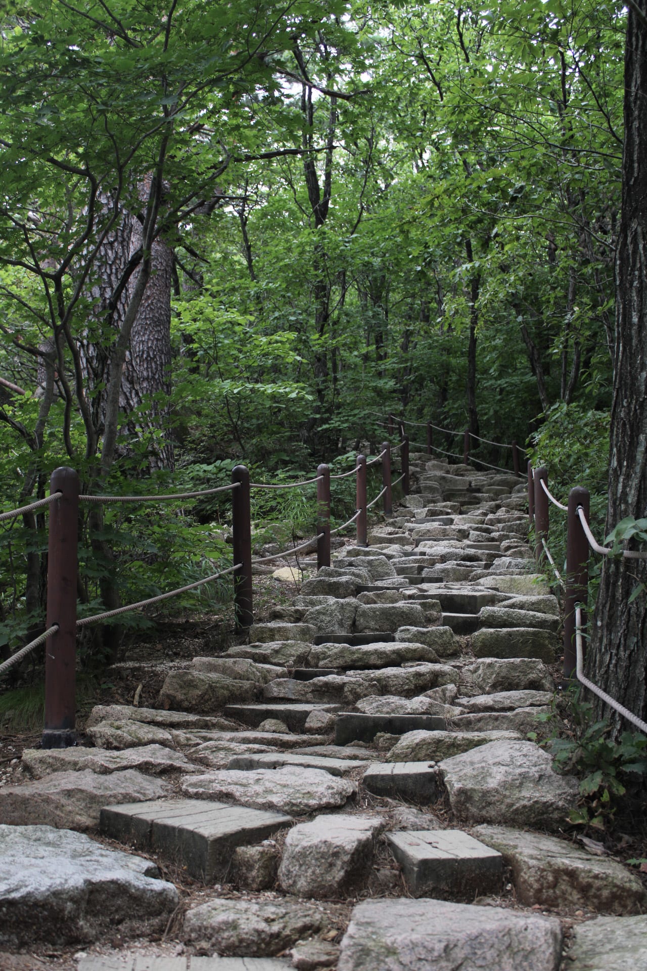 {"caption":[],"type":"external","external":{"url":"https://res.cloudinary.com/dttkrq9dl/image/upload/v1695546606/20230911061845_IMG_9195_icj0dn.jpg"}}