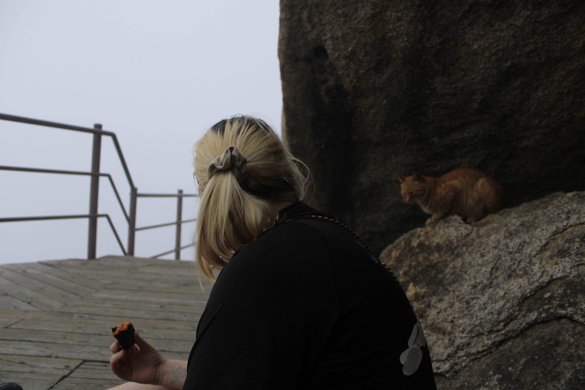 {"caption":[],"type":"external","external":{"url":"https://res.cloudinary.com/dttkrq9dl/image/upload/v1695546606/20230911074245_IMG_9209_noxxn0.jpg"}}