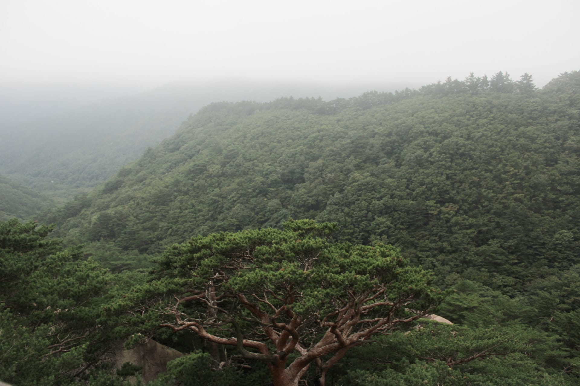 {"caption":[],"type":"external","external":{"url":"https://res.cloudinary.com/dttkrq9dl/image/upload/v1695546607/20230911062947_IMG_9196_qc67gn.jpg"}}