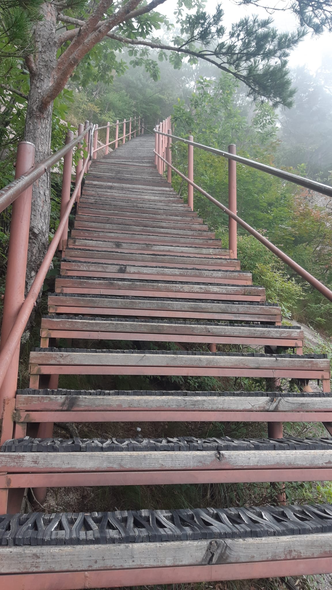 {"caption":[],"type":"external","external":{"url":"https://res.cloudinary.com/dttkrq9dl/image/upload/v1695546607/WhatsApp_Image_2023-09-24_at_17.57.26_fkxvnd.jpg"}}