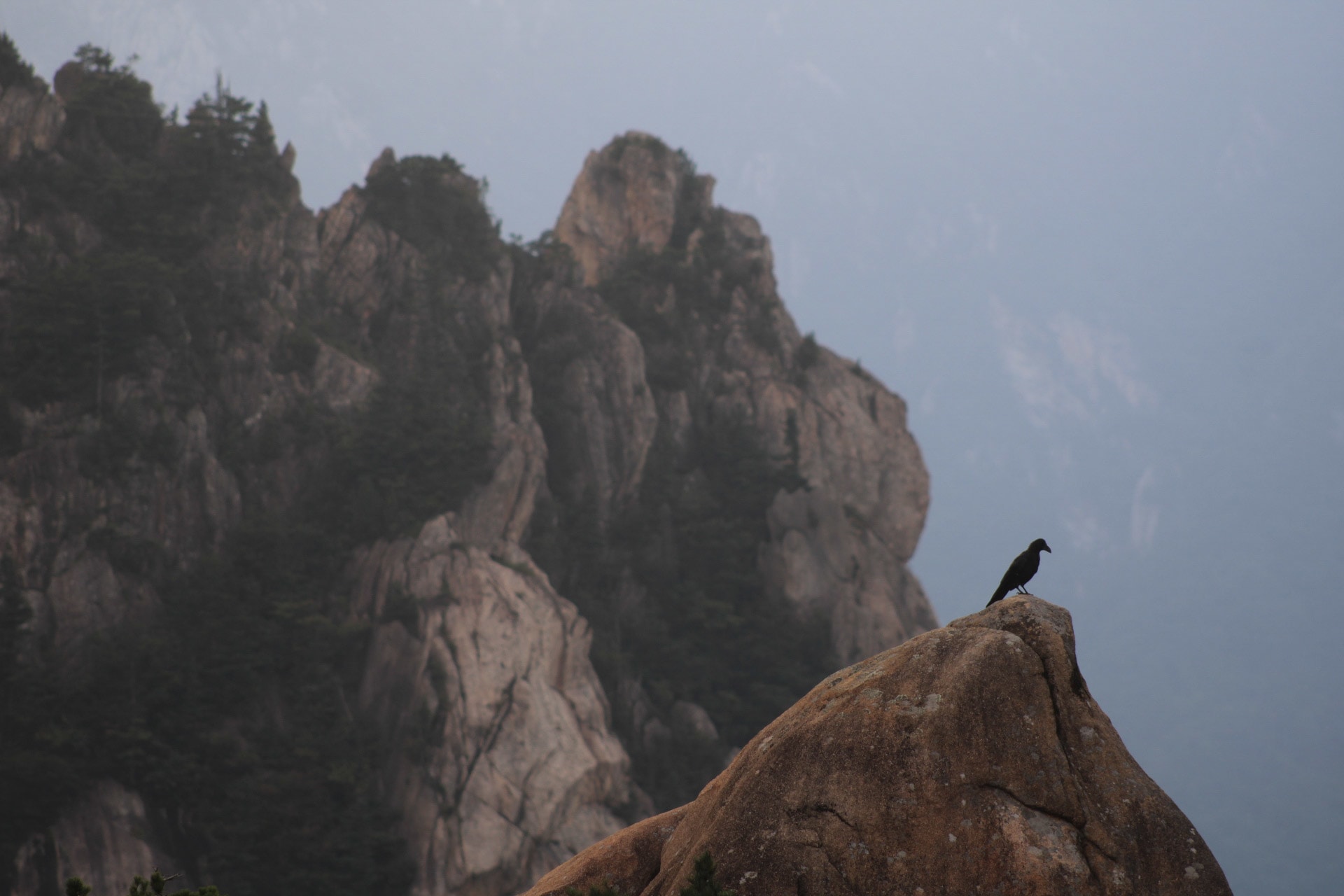 {"caption":[],"type":"external","external":{"url":"https://res.cloudinary.com/dttkrq9dl/image/upload/v1695546608/1-20230911105044_IMG_9283_sbyznw.jpg"}}