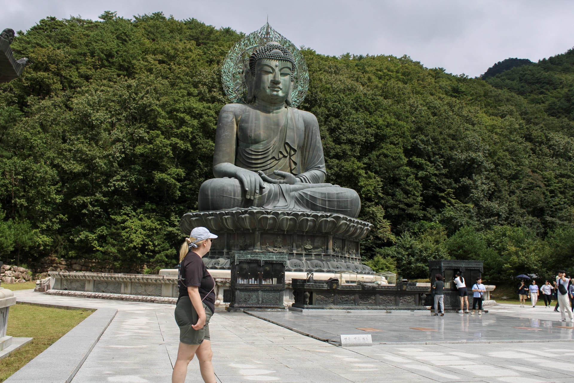 {"caption":[],"type":"external","external":{"url":"https://res.cloudinary.com/dttkrq9dl/image/upload/v1695546608/20230911044417_IMG_9120_rqmoay.jpg"}}